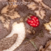 【V&A】ウィリアムモリス『Strawberry Thief・いちご泥棒』泉州仕立ての滑らかな肌触りのアクリル毛布　ロマンス小杉　ニューマイヤーアクリル毛布428D＜日本製＞